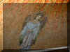 Holy Angel of God